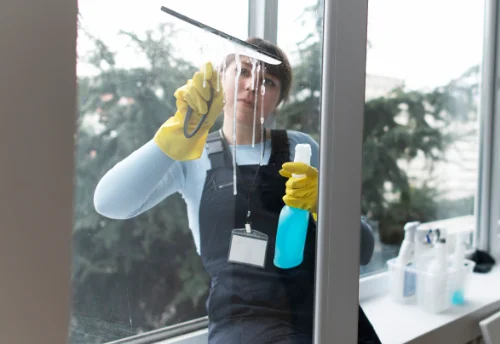 Nettoyage de vitres intérieures et extérieures à Chilly